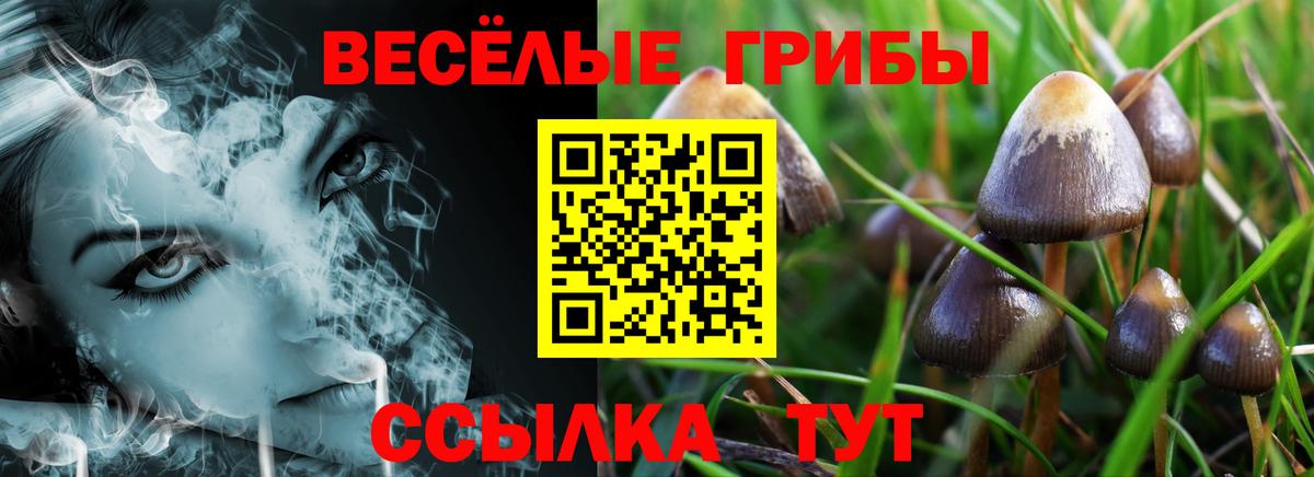 Галлюциногенные грибы Psilocybine cubensis  цены наркотик  Малоярославец  Вход с VPN 